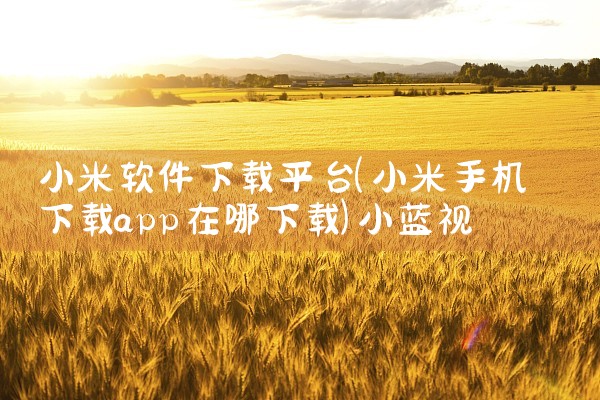 小米软件下载平台|小蓝视频