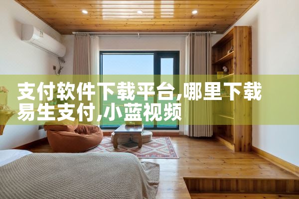 支付软件下载平台|小蓝视频