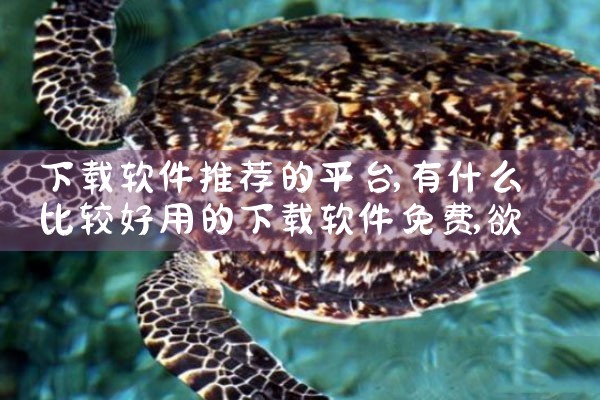下载软件推荐的平台|欲漫涩