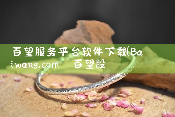 百望服务平台软件下载|P站专业版
