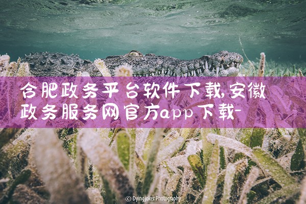 合肥政务平台软件下载|欲漫涩