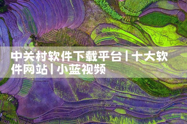 中关村软件下载平台|小蓝视频