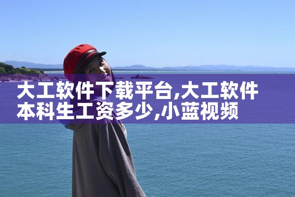 大工软件下载平台|小蓝视频