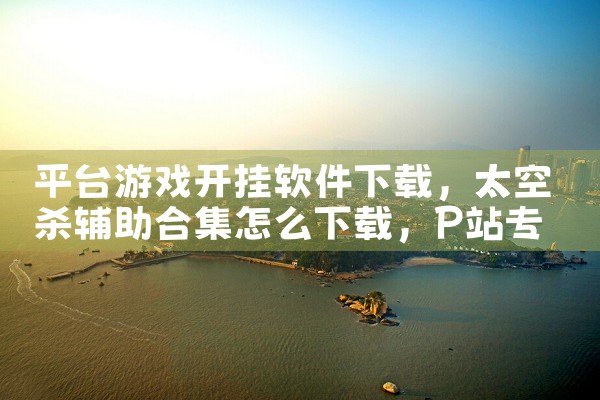 平台游戏开挂软件下载|P站专业版