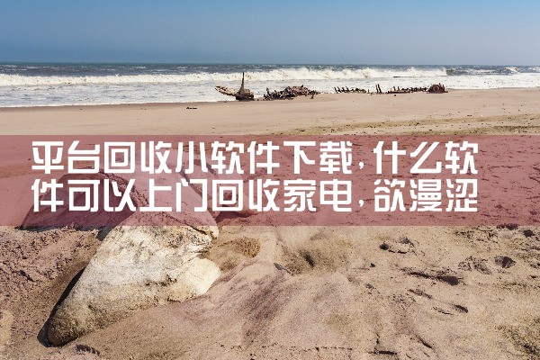 平台回收小软件下载|欲漫涩